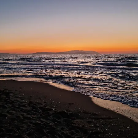 Melli-ilay فيلة *