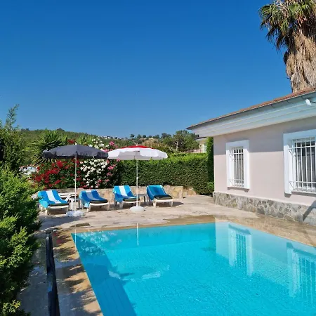 Melli-ilay سوجاك