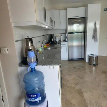 فيلة Melli-ilay *