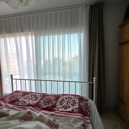 Melli-ilay سوجاك